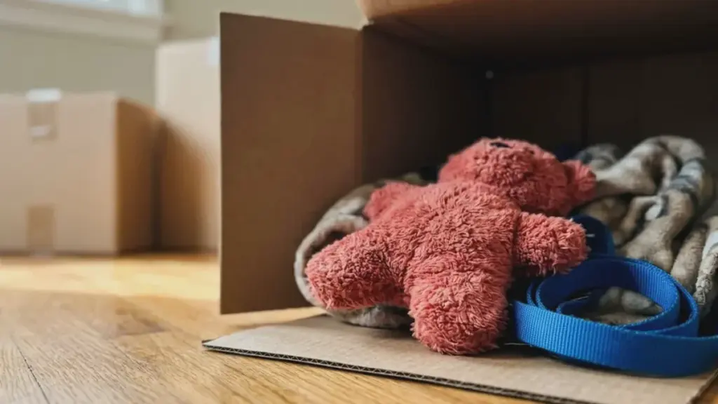 Déménager avec son animal : comment aider son compagnon et réduire le stress du changement de domicile